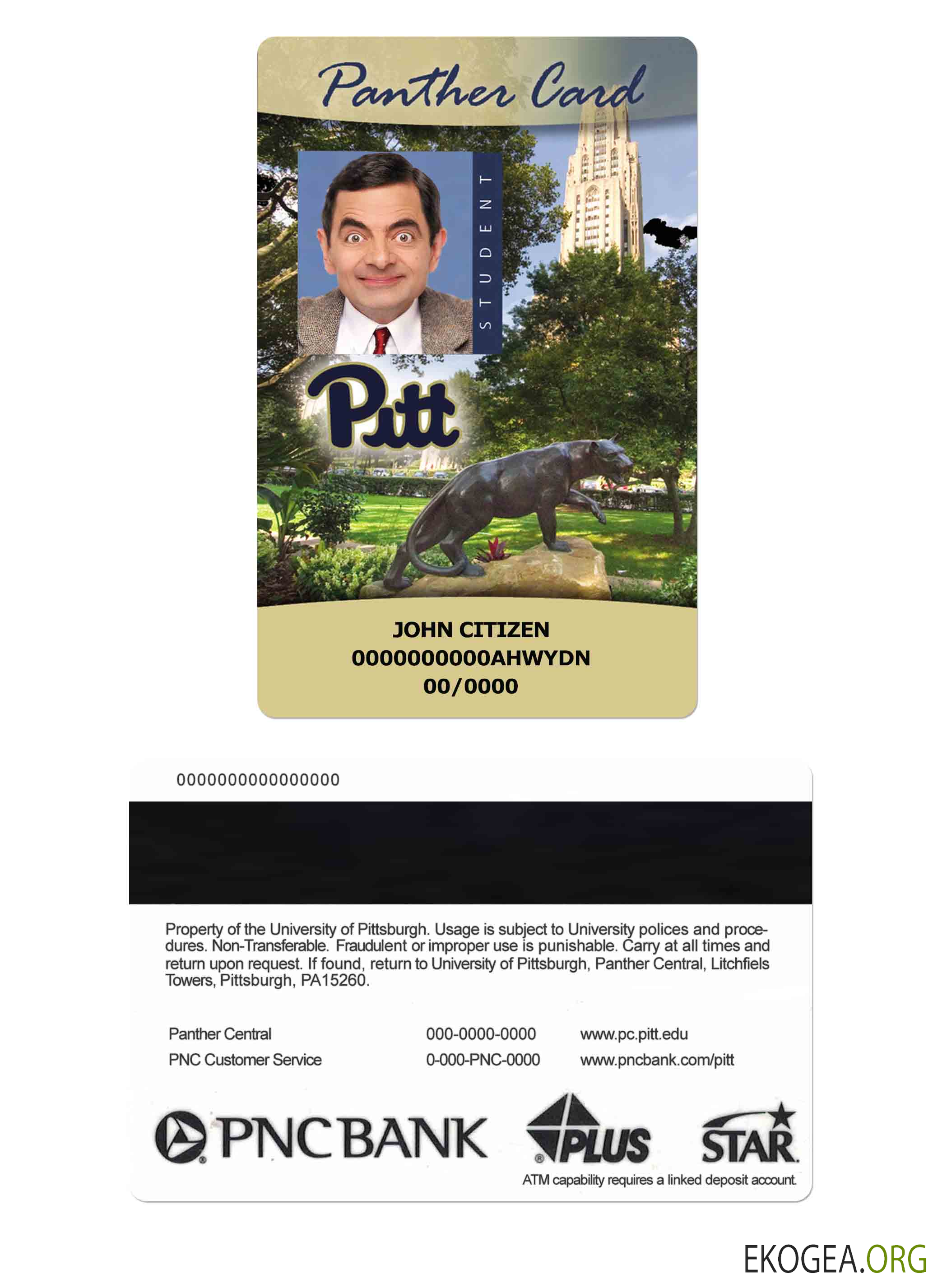 États Unis Carte d'étudiant de l'Université de Pittsburgh, carte Panther